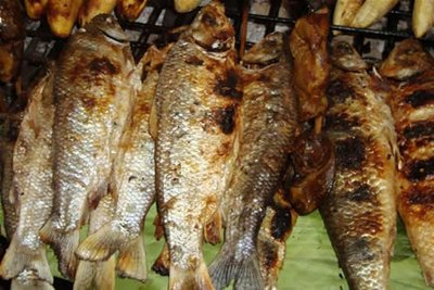 Ahumado/Salado/Seco